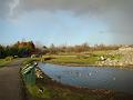 2007-1205_1430 London_Wetland_Centre_12_C